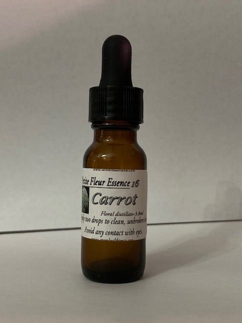 Carrot Flower Essence,Daucus carota