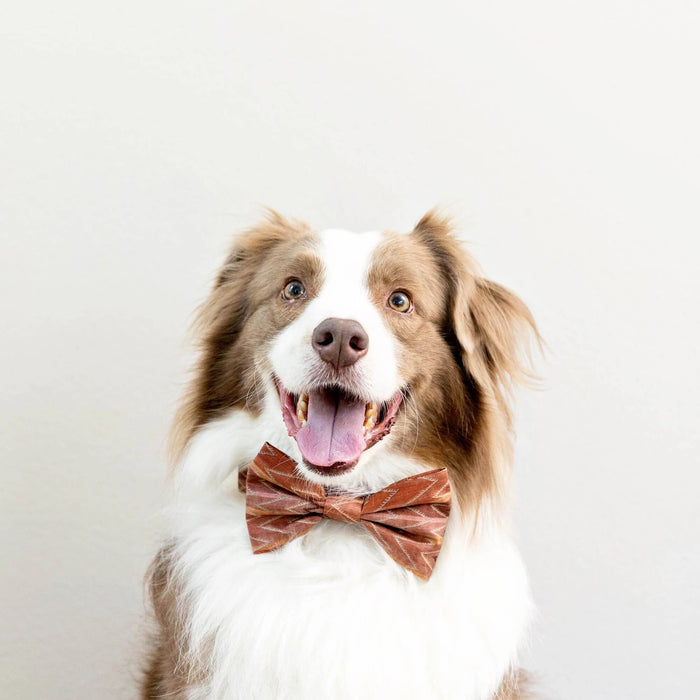 THE FOGGY DOG’s DOG BOW TIE (STANDARD, ST. FRANK CHEVERON KILIM) features a rust-colored fabric with a subtle beige chevron pattern, handcrafted and inspired by Turkish kilim, shown on a white background.