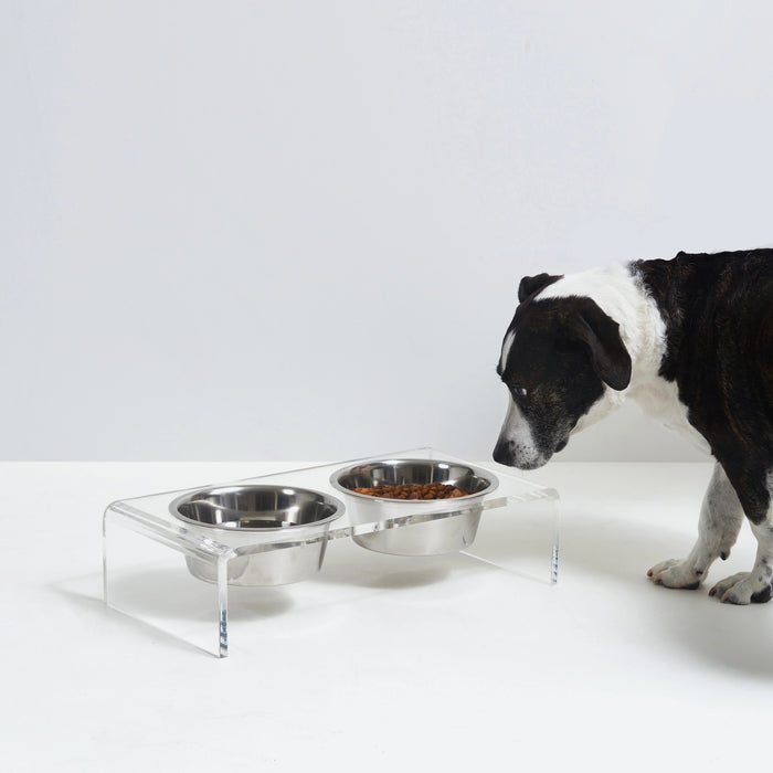 The HIDDEN ELEVATED PET FEEDER 1 QUART (CLEAR) features two stainless steel bowls set side by side in a clear acrylic base, creating a stylish and modern raised double bowl feeder.