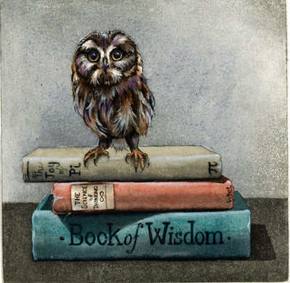 Higher Education by Eileen Sorg