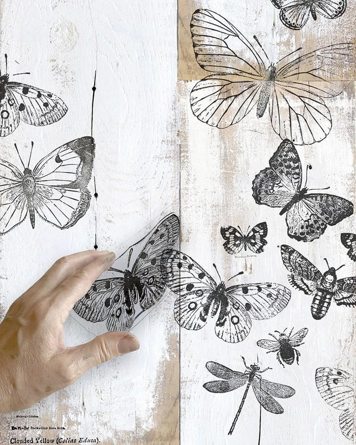 Iron Orchid Décor Stamp Set - 12x12 - Butterflies