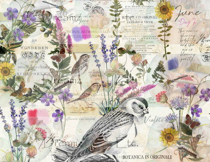 Springfield - PART2 - Journal Paper Pack - Digital - 10 SHEETS
