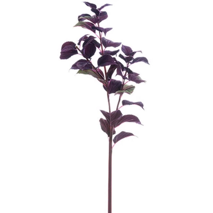 The ALLSTATE FLORAL AND CRAFT STEM COLEUS LEAF SPRAY BURGUNDY GREEN is a single 32-inch stem with burgundy-green leaves branching out at intervals, isolated on a white background. Ideal for in-store pickup.