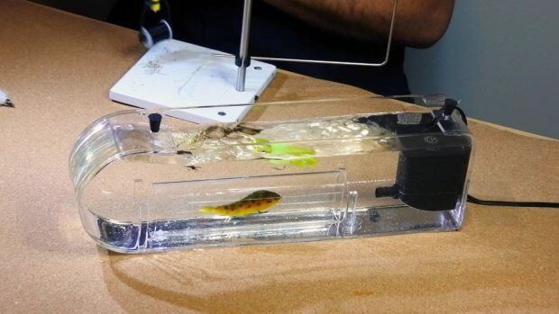 USED Flymen Fly Tester