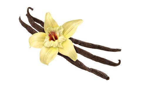 Vanilla, Vanilla plantifolia, Flower Essence