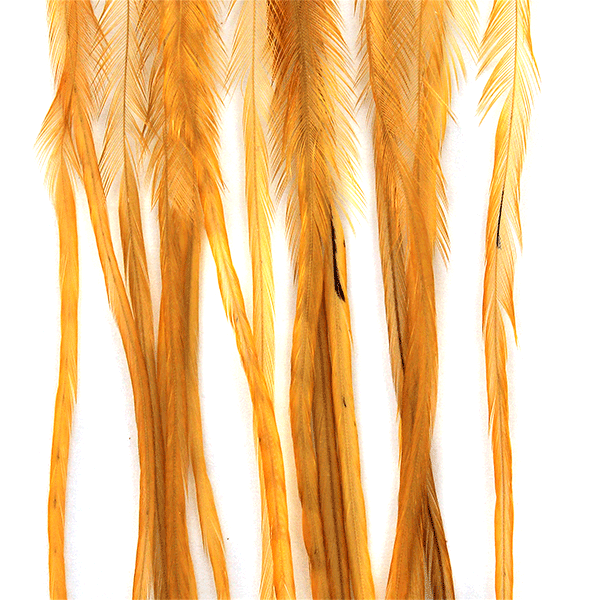 Whiting Farms 100 Dry Fly Pack