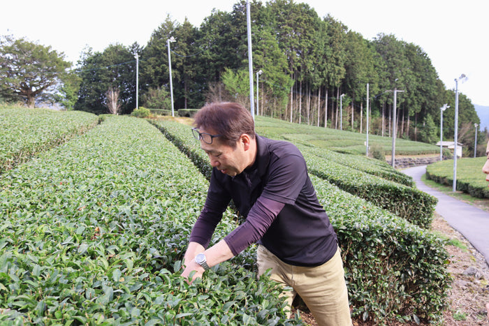 #1098.G1 Nitta Tea Farm: Premium Black Tea