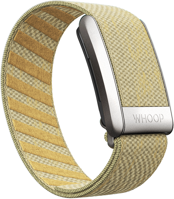 4.0 Buttercup SuperKnit Band