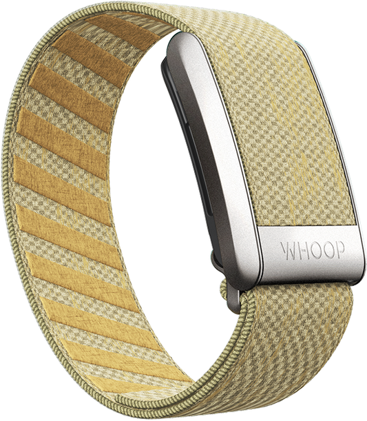 4.0 Buttercup SuperKnit Band