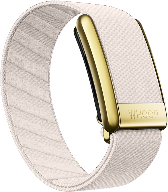 4.0 Champagne with Gold SuperKnit Luxe Band