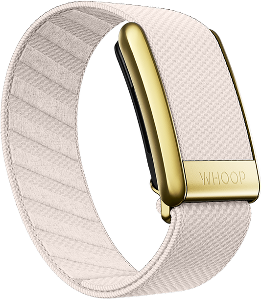 4.0 Champagne with Gold SuperKnit Luxe Band