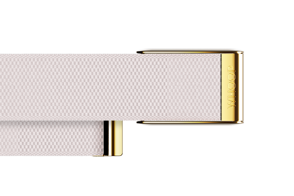 4.0 Champagne with Gold SuperKnit Luxe Band
