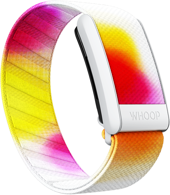 4.0 Haley Adams SuperKnit Band