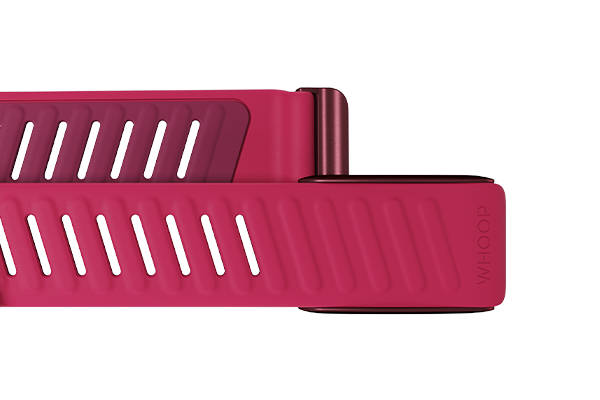 4.0 Pace SportFlex Band