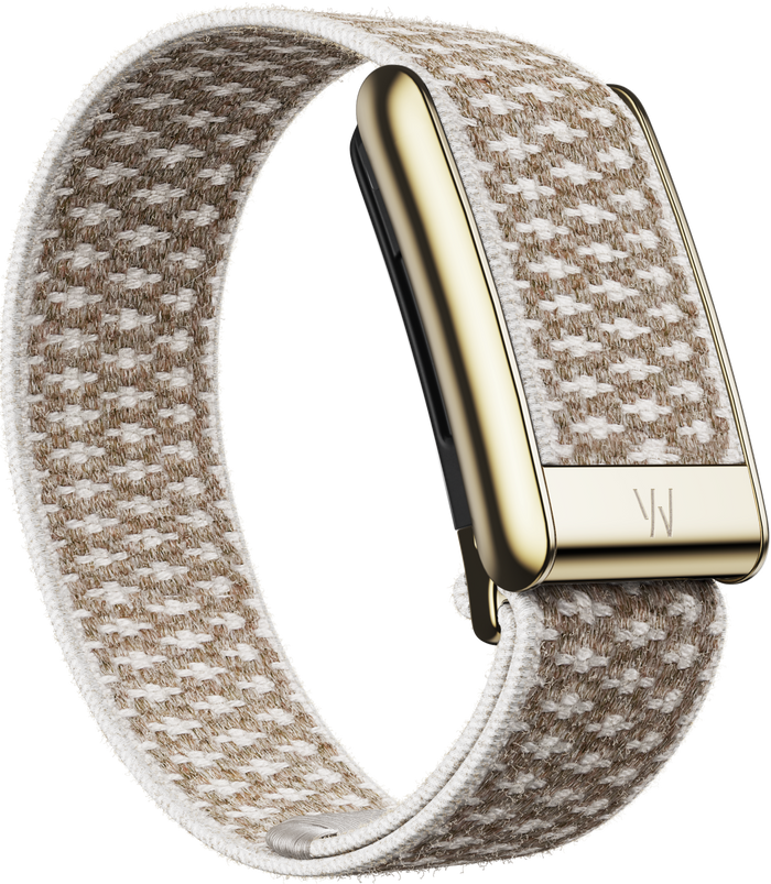 5.0 CloudKnit Luxe Band | Haze with Gold