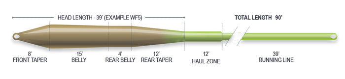 Airflo Superflo Universal Fly Line Taper
