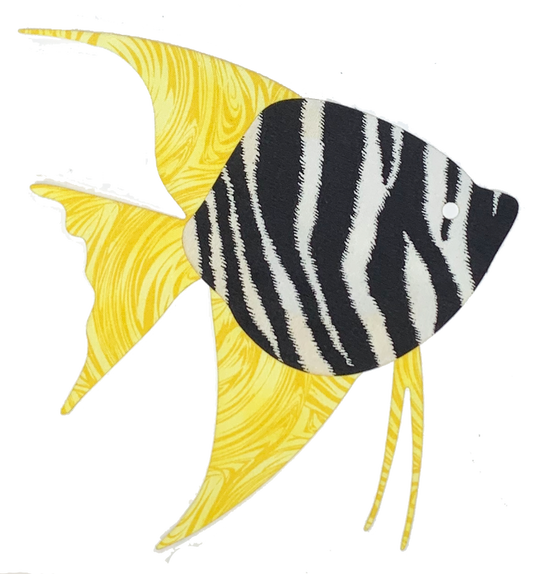 Angelfish Sealife Pre-Fused Laser Kit