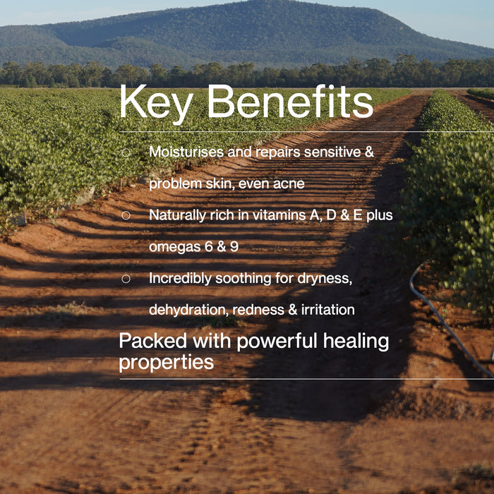 Field with text overlay about key benefits on a clear day