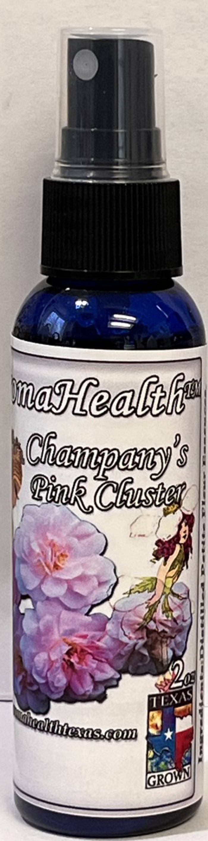 Champney's Pink Cluster, Antique Rose Essence, Rosa chinensis x Rosa moschata
