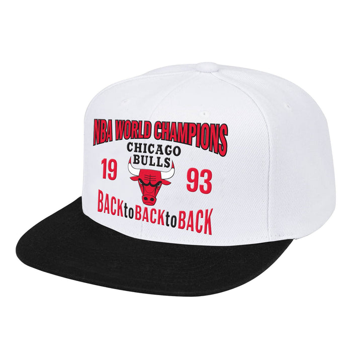 Chicago Bulls Back To 93 Snapback HWC