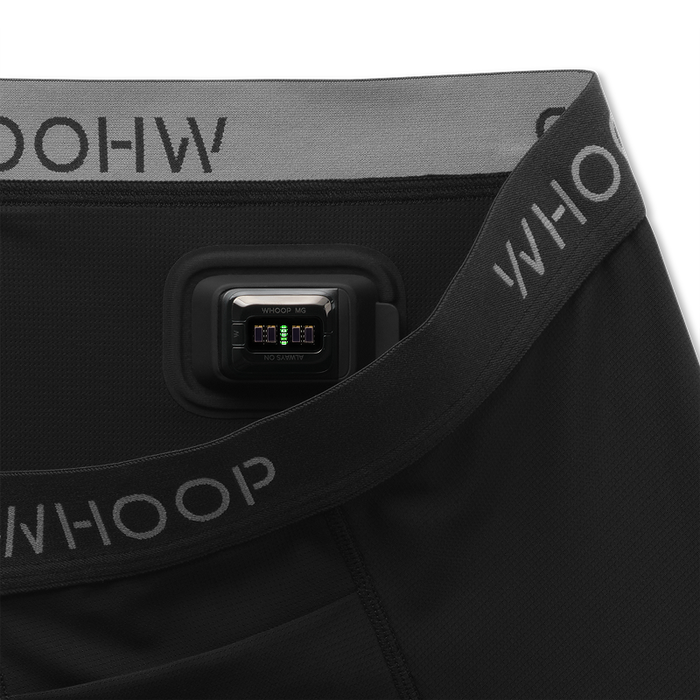 Essential Boxer | Black