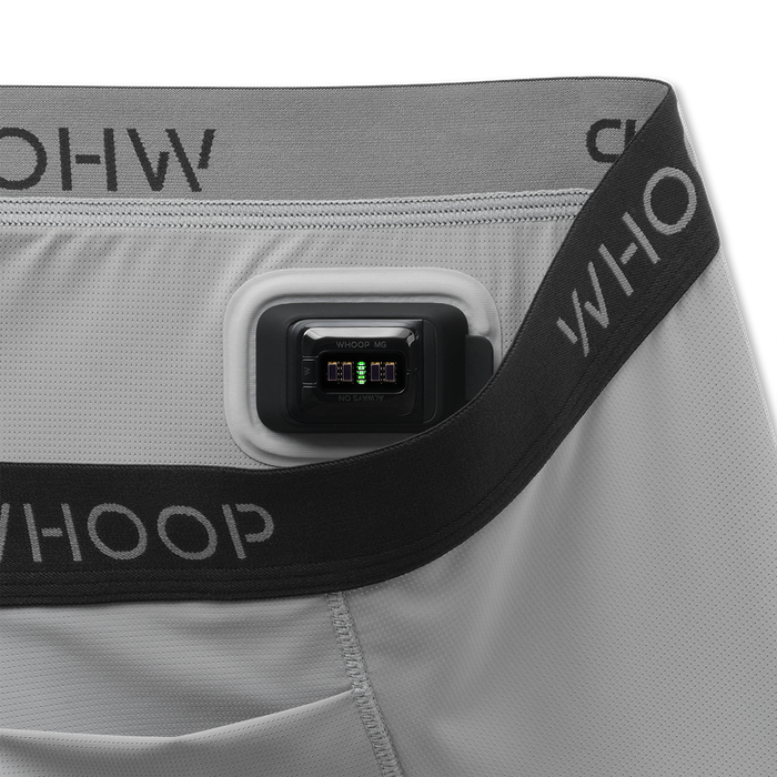 Essential Boxer | Grey