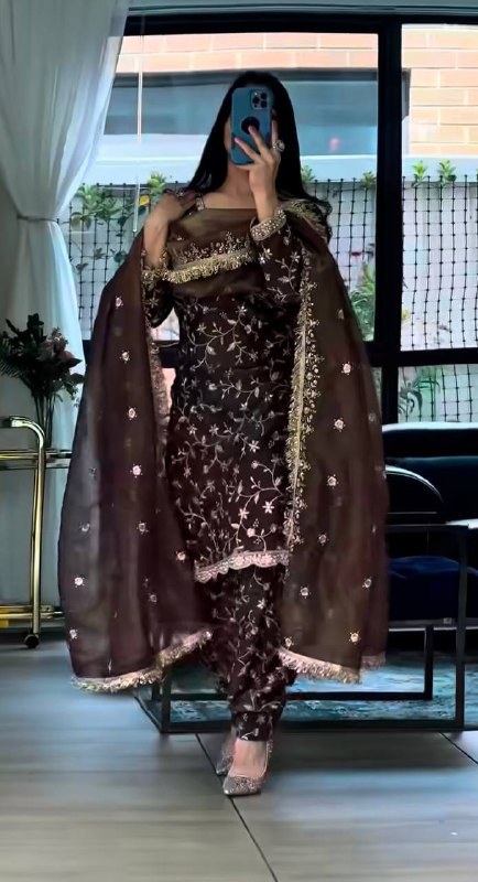 Glamorous Festive Wear with Embroidery