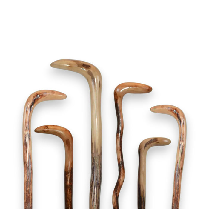 Six HARVY CANES - WILD WOOD ROOT CANES stand upright against a white background, each from HARVY CANES featuring unique curved handles and distinct shapes.