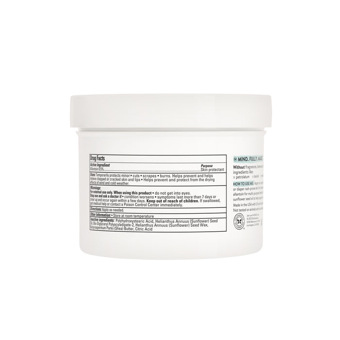 A white plastic container labeled with drug facts, ingredients, and usage instructions highlights The Honest Companys Healing Head to Toe Ointment - Value Size, featuring an allantoin-powered formula for healthy skin. The product is photographed against a plain white background.