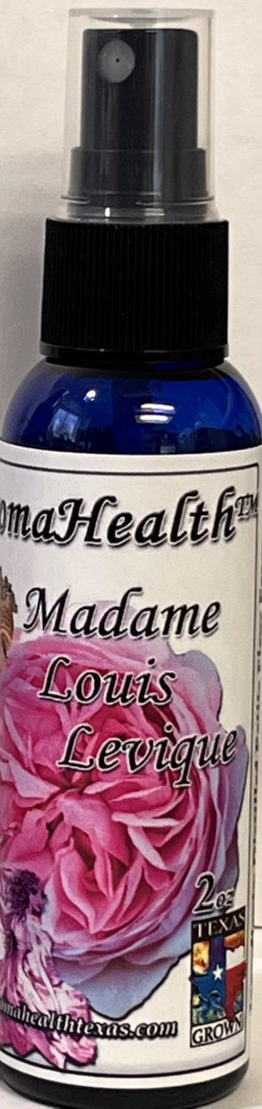 Madame Louis Levique Antique Rose Essence, Rosa centifolia mucosa