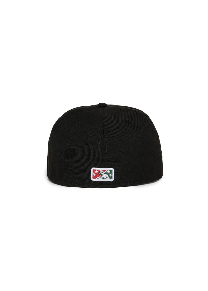 Michigan Battle Cats Black Green uv