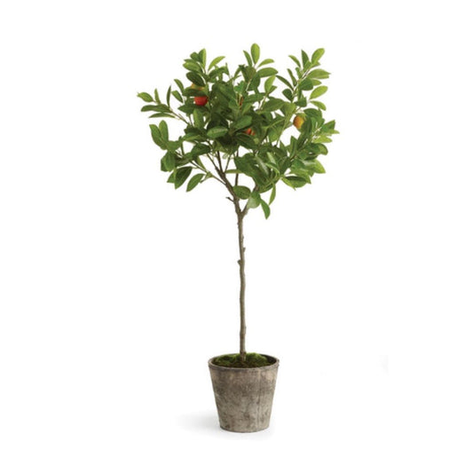 The NAPA HOME AND GARDEN Potted Orange Topiary 41 features a tall, slender stem with dense green leaves and small, red and orange fruits. It sits in a rustic pot against a white backdrop, capturing a fresh summer vibe.
