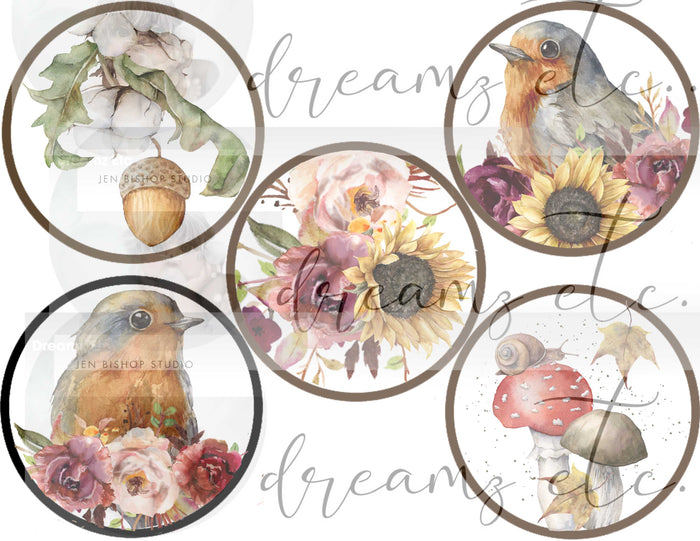 NEW! Pumpkin Spice Digital Collection