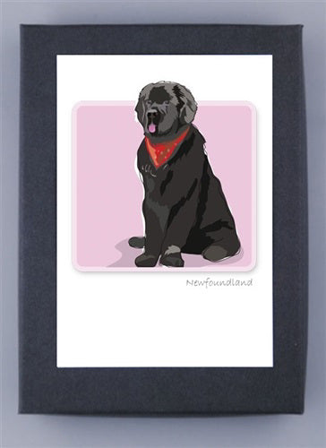 Illustration of a black Newfoundland dog with a red bandana on pink background, crafted on FSC certified paper. "Newfoundland" elegantly scripted in the corner. Product: PAPER RUSSELS - NEWFOUNDLAND BOX NOTES by PAPER RUSSELLS.