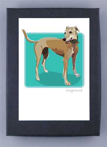 Framed illustration of a tan greyhound with a white chest on teal background. Crafted on recycled paper, the dog looks to the side with its tail raised. "Greyhound" inscribed below. Made in USA by PAPER RUSSELLS.