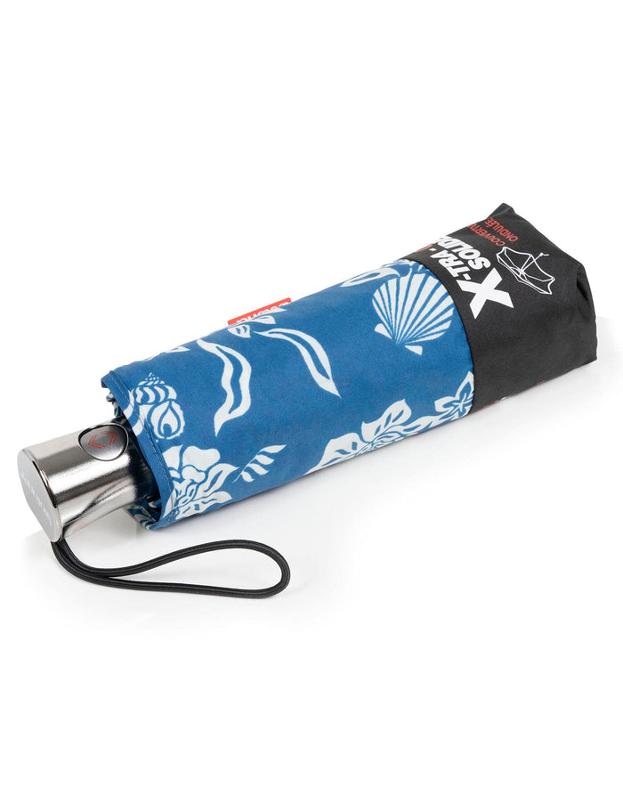#coloris_fleur coquillage bleu--mkp