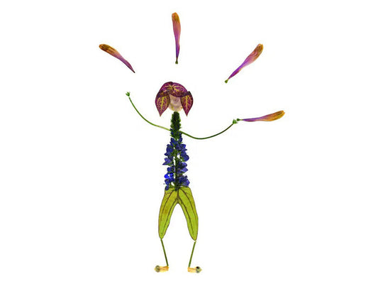 The JUGGLE GREETING CARD by PETAL PEOPLE PRESS showcases a whimsical figure crafted from pressed flowers on a white background, featuring a purple bloom head, green stem limbs, a body with purple blooms, and an orange petal halo—an enchanting piece of botanical art.