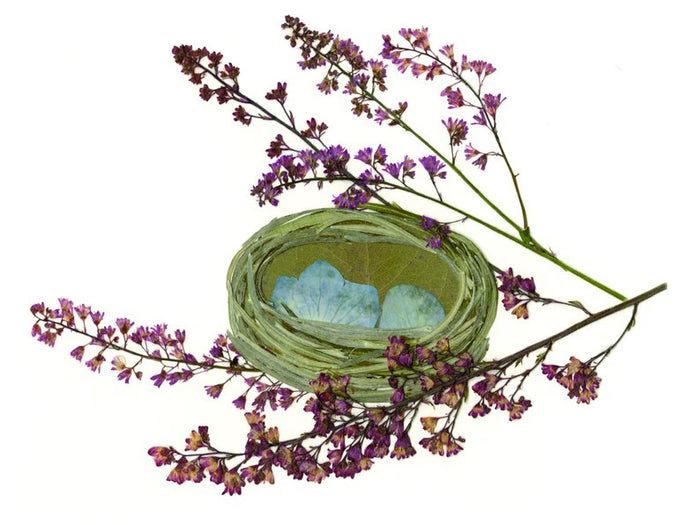 A small, woven green basket with light blue paper inside, surrounded by purple hydrangea sprigs on a white background. (Product: PETAL PEOPLE PRESS - NEST GREETING CARD by PETAL PEOPLE PRESS).