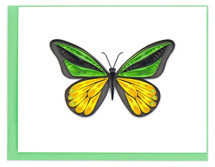 Quilling Card - Note Card Box Set- Butterflies 2