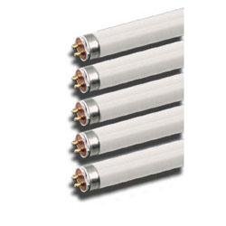 T5 HO Flourescent Radiant-Lite FL54/T5/HO 54 Watt High Output T5 Fluorescent (Case of 25) $1.99 Each Radiant-Lite