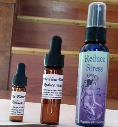 Reduce Stress ( Lavender, Spike and Provence scent)