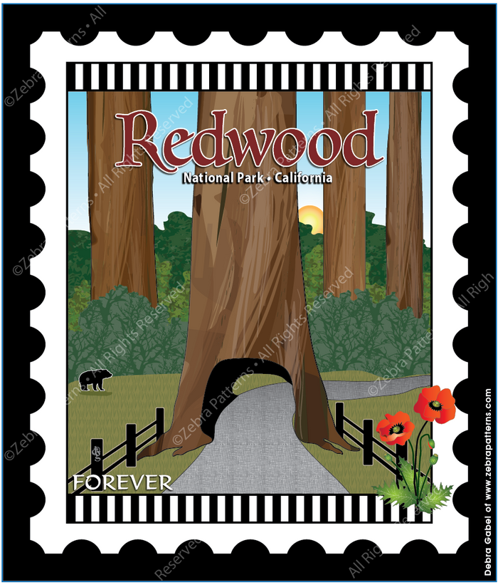 Redwood California
