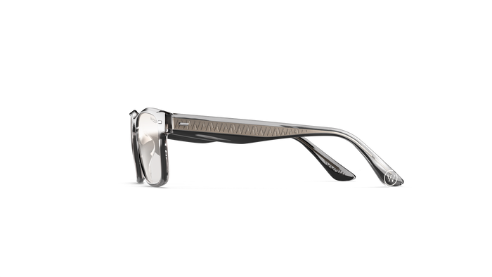 Remy Lucid Frames with All-Day Lenses