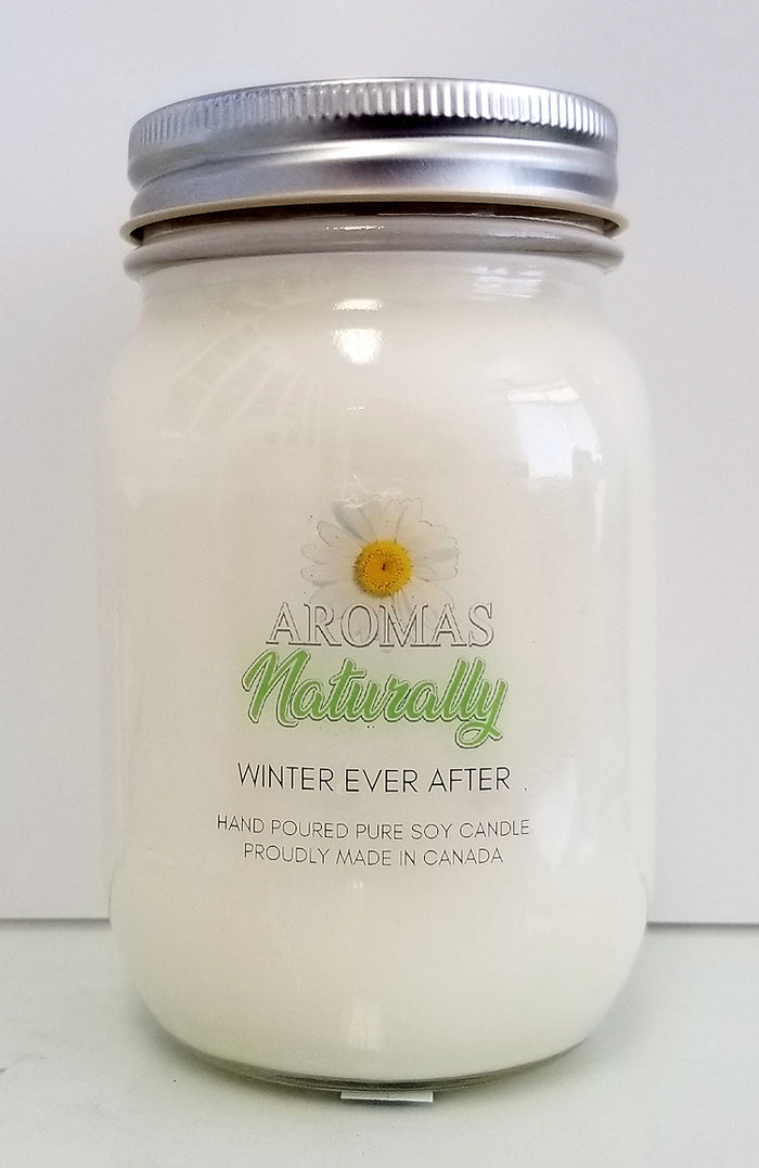 Serendipity Soy Wax Candle - Winter Ever After