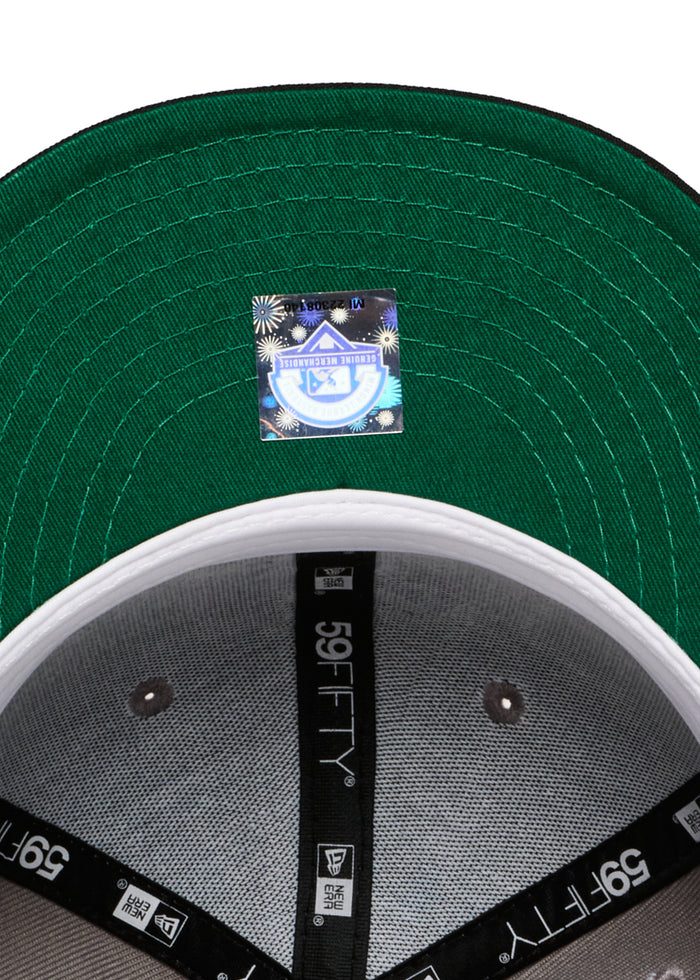 SHREVEPORT SWAMP DRAGONS Smoke Grey & Black Green uv