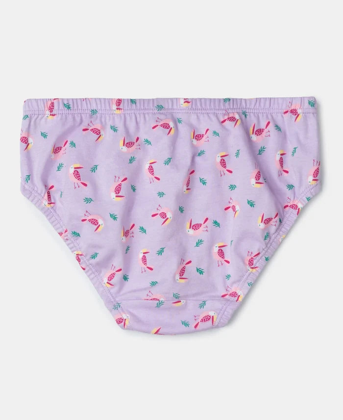 Super Combed Cotton Printed Panty with Ultrasoft Waistband - Fairy Tale, Blue Depths & Lavendula (Pack of 3)
