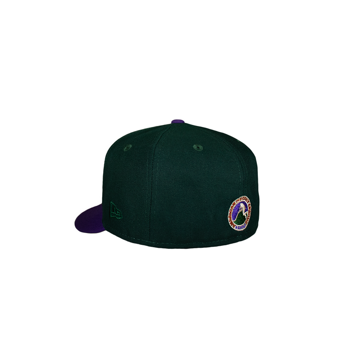 Tucson Roadrunners Green and Purple Hockey