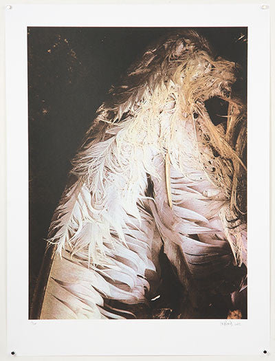 Untitled': Ben Lafond: Wing Art Print