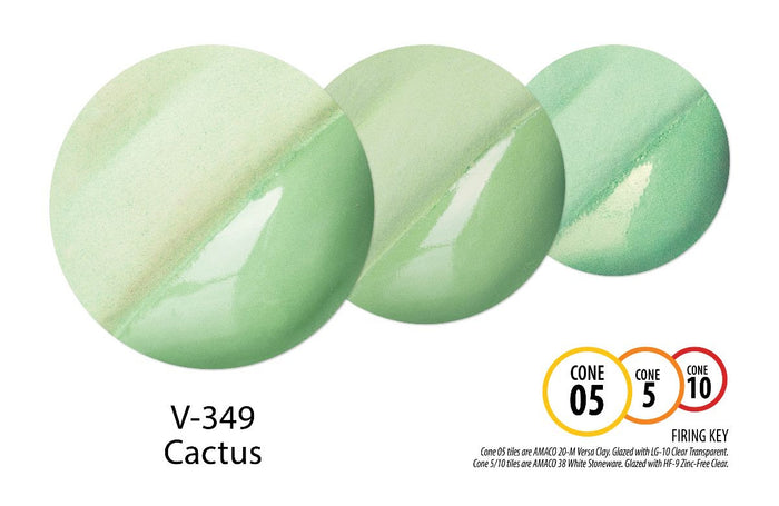 V-349 Cactus Pint