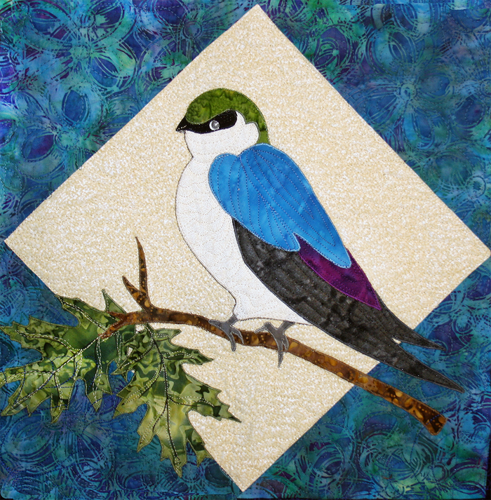 Violet Green Swallow